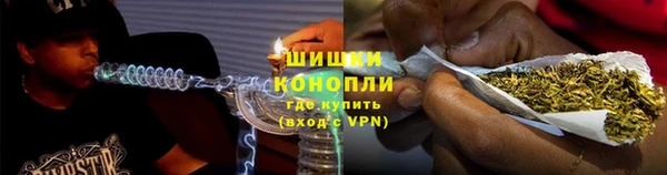 крисы Медвежьегорск
