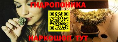 СК Гусь-Хрустальный