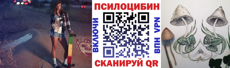 Галлюциногенные грибы Cubensis  сколько стоит  Мурино 
