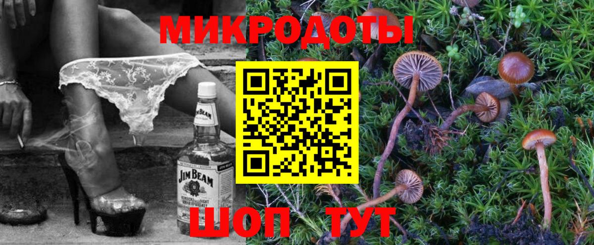 Псилоцибиновые грибы Cubensis Мурино