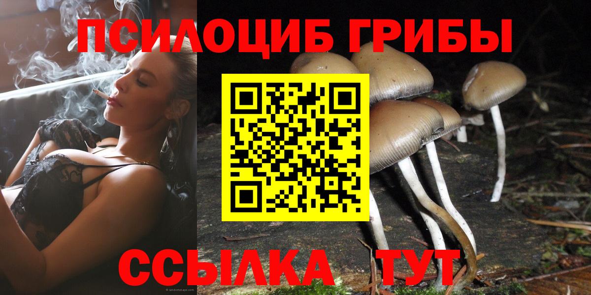 Галлюциногенные грибы прущие грибы  Мурино 