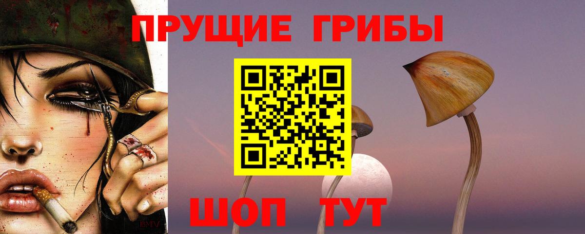 Галлюциногенные грибы Psilocybine cubensis  Вход с VPN  Мурино 